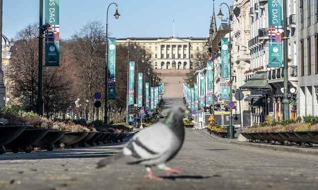 image: Avviser påskeåpent